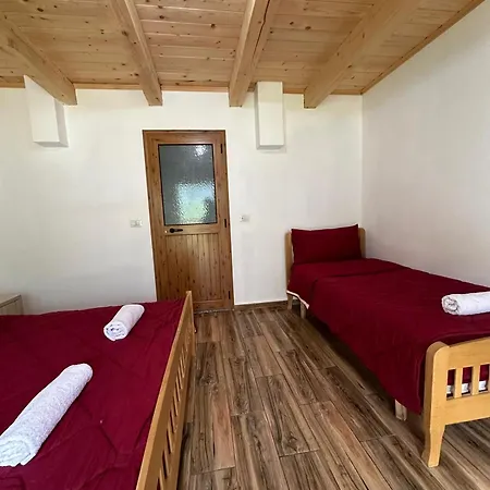 Bujtina Zici