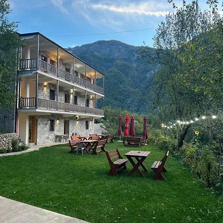 Bujtina Zici *