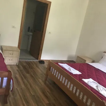 Bujtina Zici Guest house *
