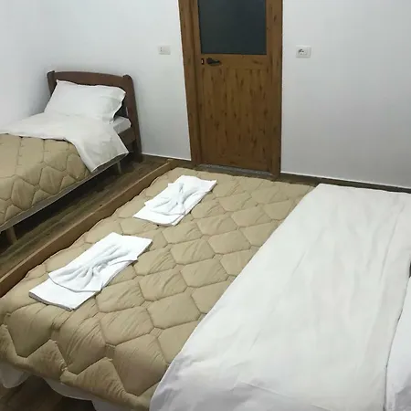 Bujtina Zici Guest house *